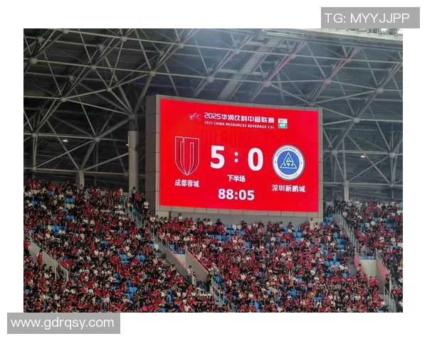 足球看台上的热情与梦想球迷心声与赛事精彩的完美交融