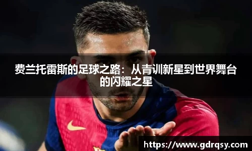 球速体育官网