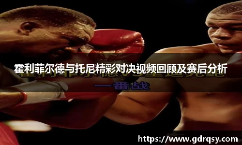 霍利菲尔德与托尼精彩对决视频回顾及赛后分析