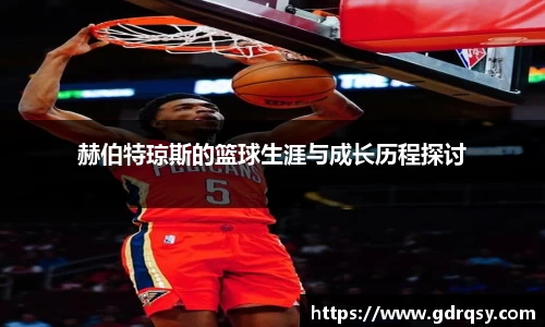 球速体育平台