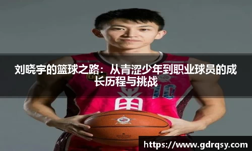 球速体育平台