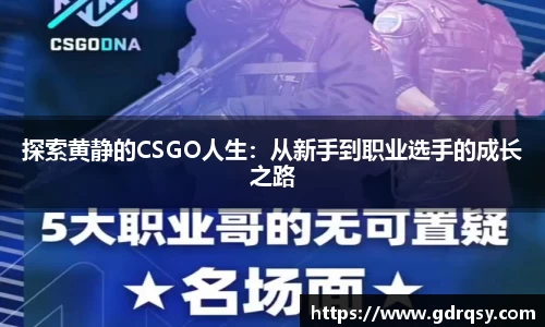 球速体育
